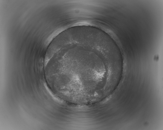 X0000111221233200907231433