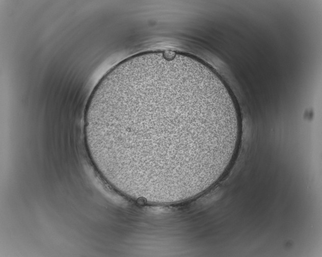 X0000111221234200907231433