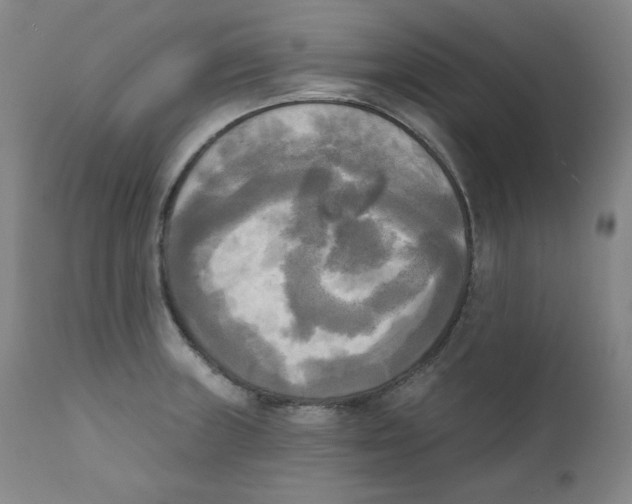 X0000111221235200907231433