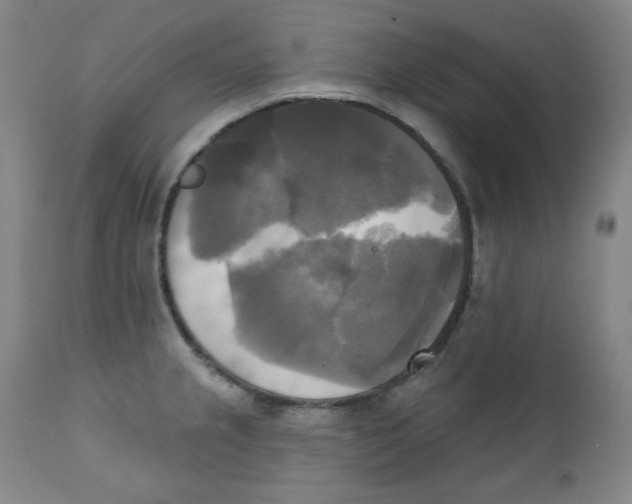 X0000111221237200907231433