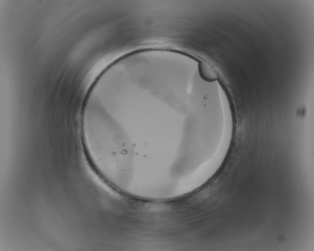 X0000111221239200907231433