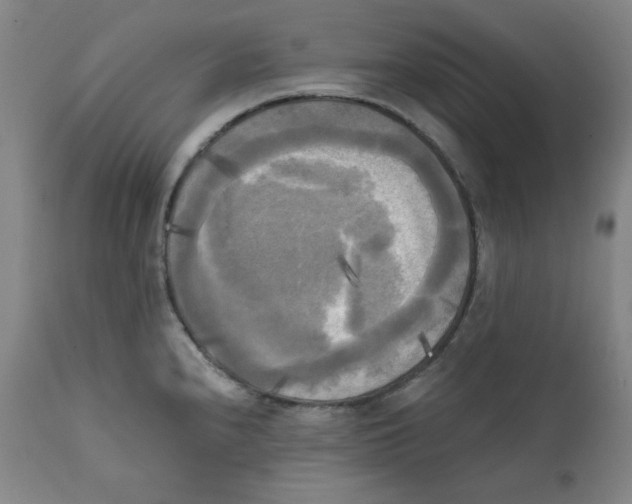 X0000111221240200907231433