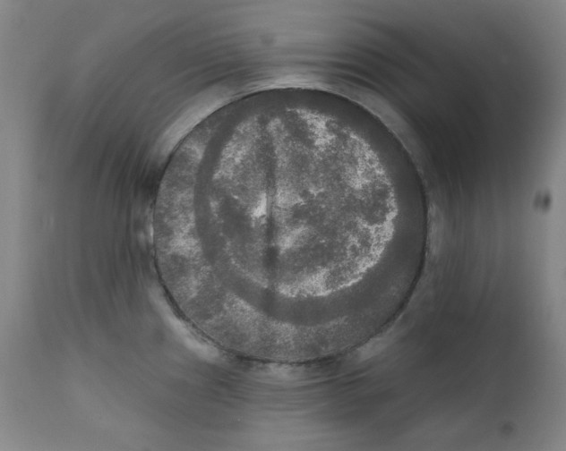 X0000111221241200907231433
