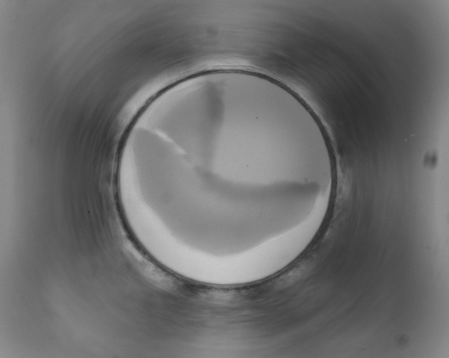 X0000111221245200907231433