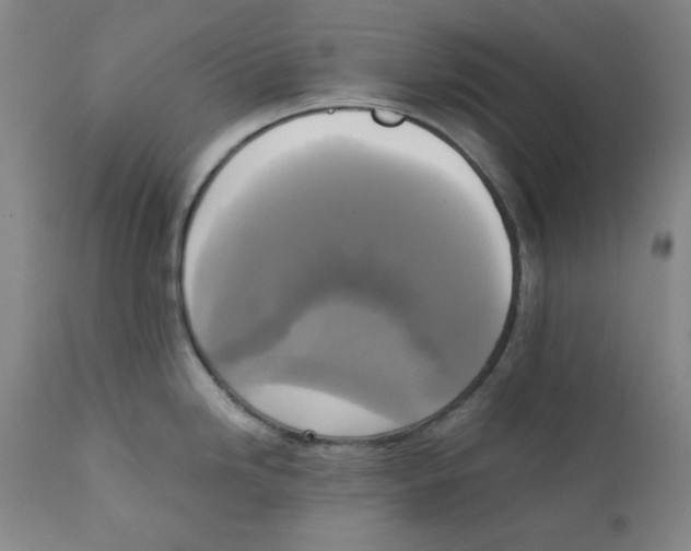X0000111221246200907231433