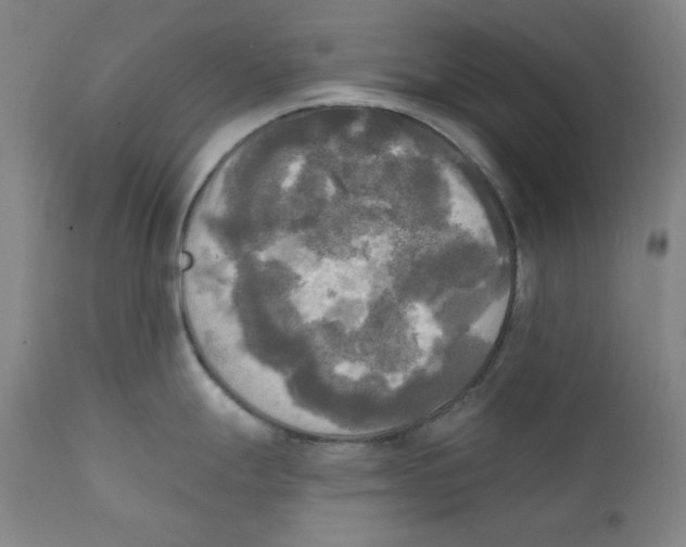 X0000111221247200907231433