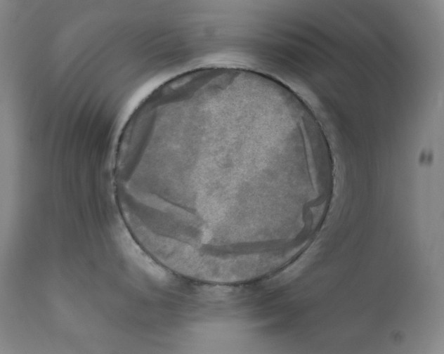 X0000111221248200907231433