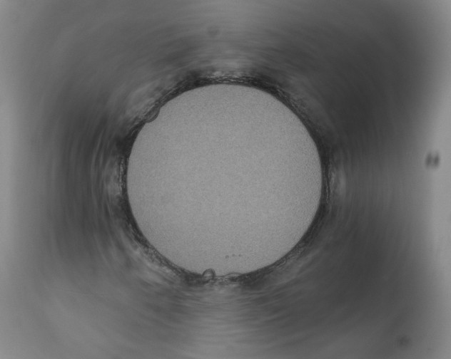 X0000111221250200907231432