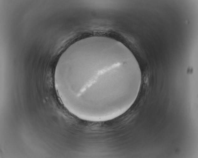 X0000111221252200907231432