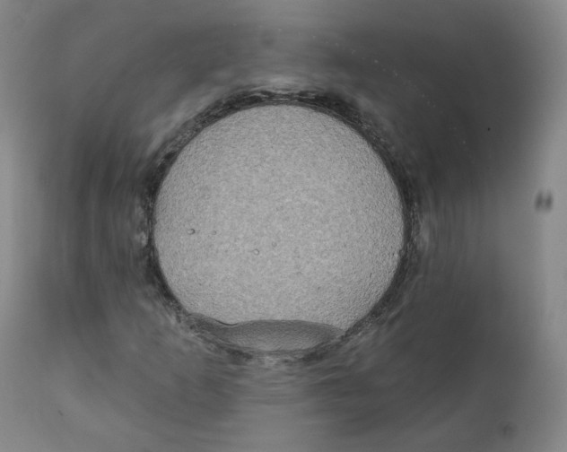 X0000111221253200907231432