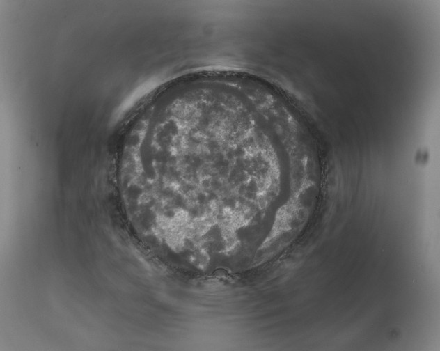 X0000111221255200907231432