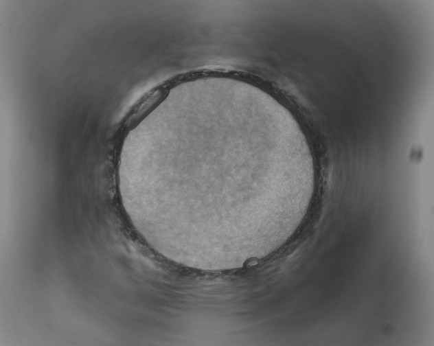 X0000111221256200907231432