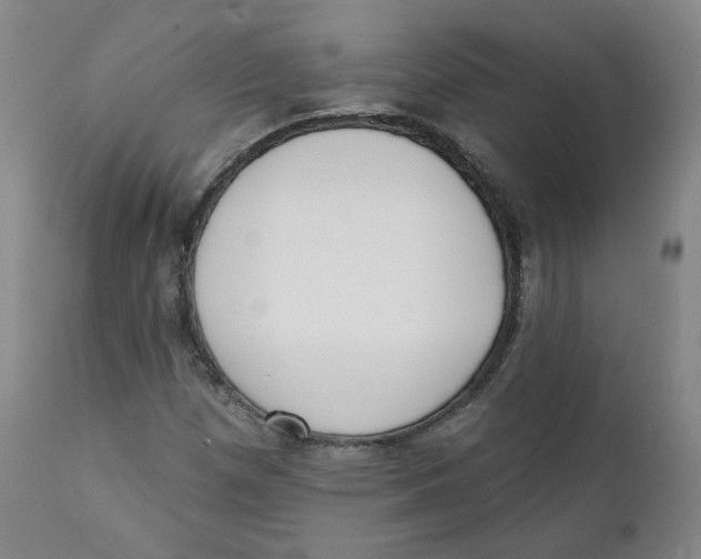 X0000111221257200907231432