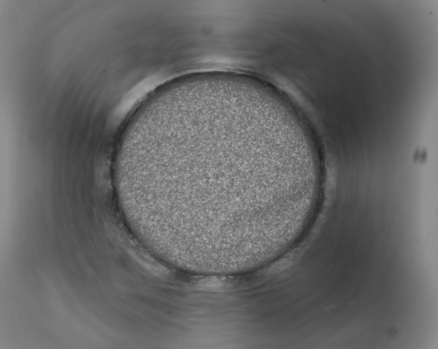 X0000111221259200907231432