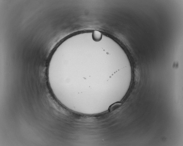 X0000111221260200907231432