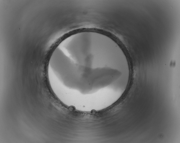 X0000111221263200907231432