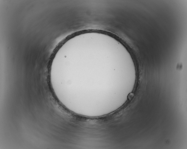 X0000111221264200907231432
