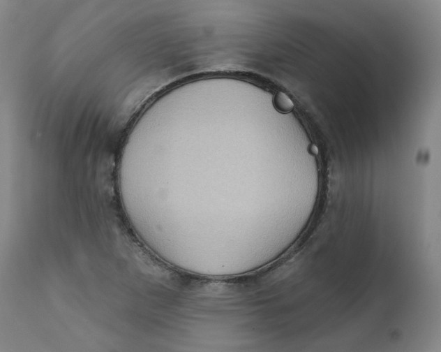 X0000111221265200907231432