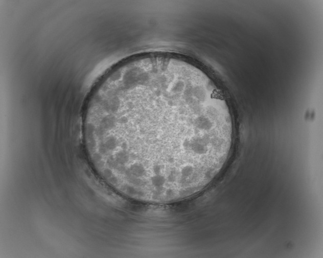 X0000111221267200907231432