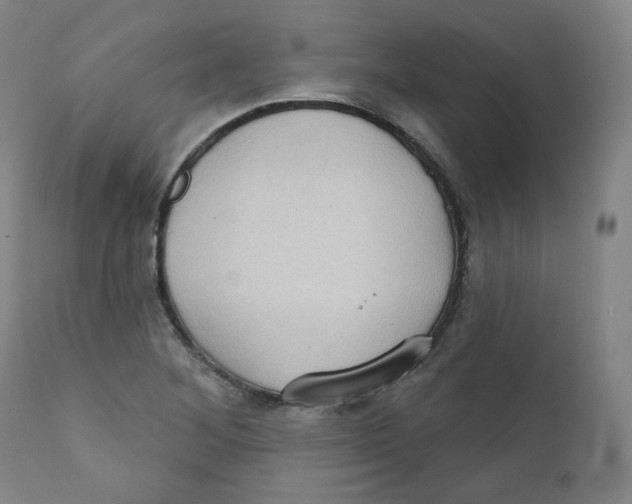 X0000111221268200907231432