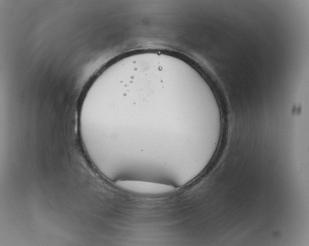 X0000111221269200907231432