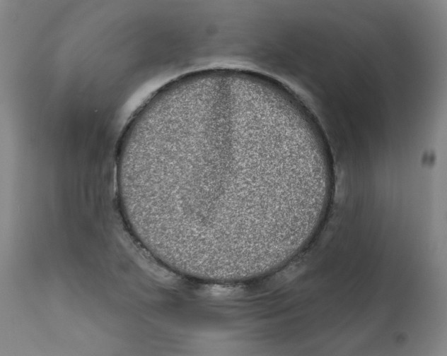X0000111221271200907231432