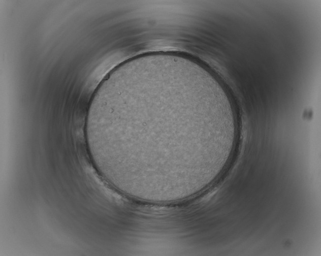 X0000111221273200907231432
