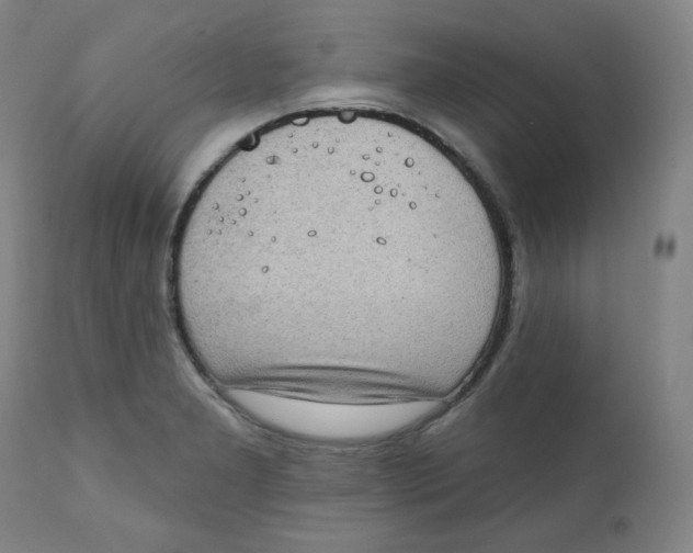 X0000111221277200907231432