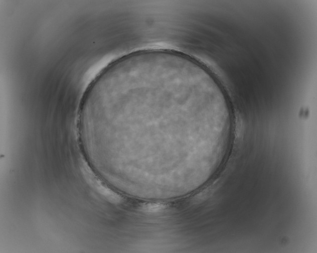 X0000111221278200907231432