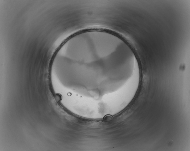 X0000111221279200907231432