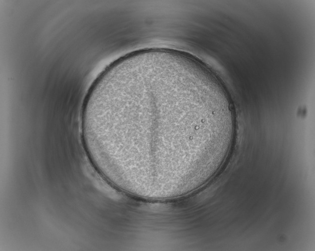X0000111221280200907231432