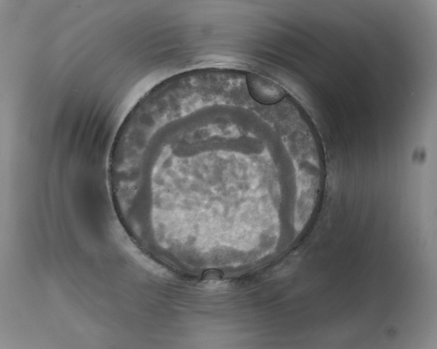 X0000111221283200907231432