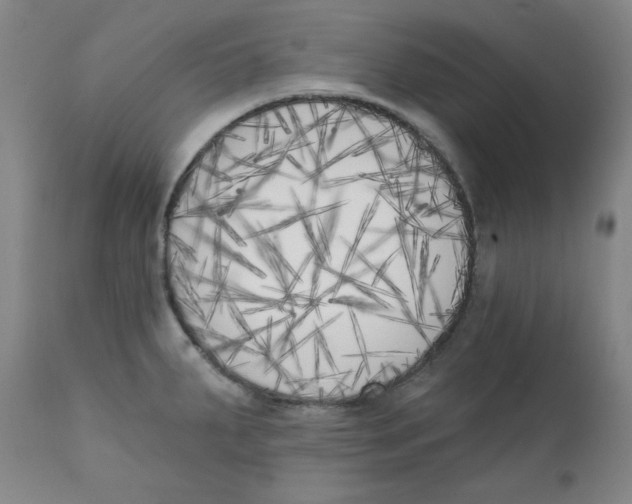 X0000111221287200907231432