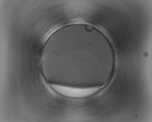 X0000111221289200907231432