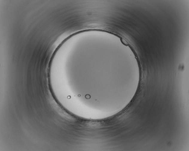 X0000111221291200907231432