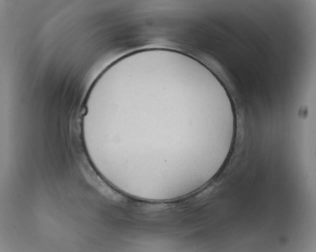 X0000111221292200907231432