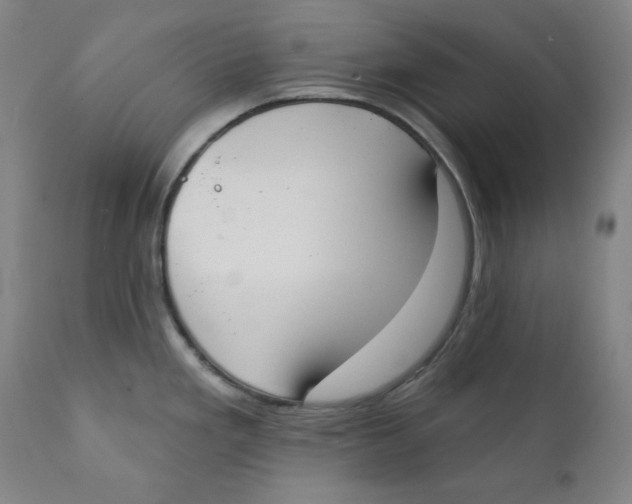 X0000111221293200907231432