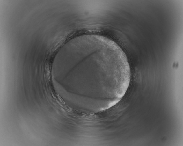 X0000111221298200907231431