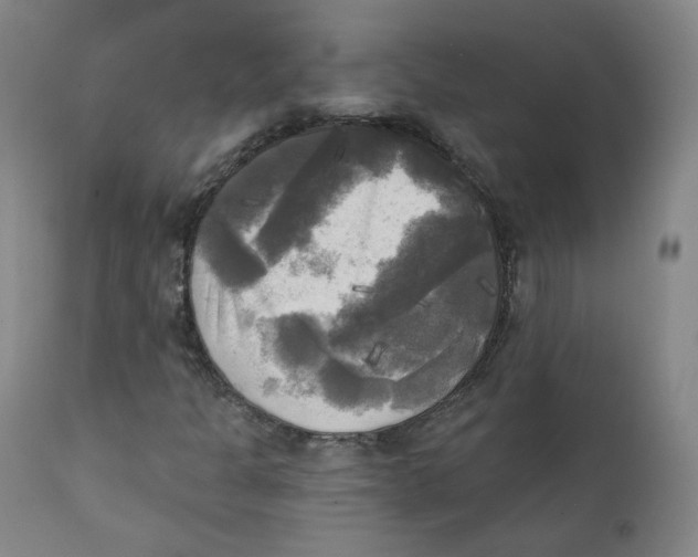 X0000111221301200907231431