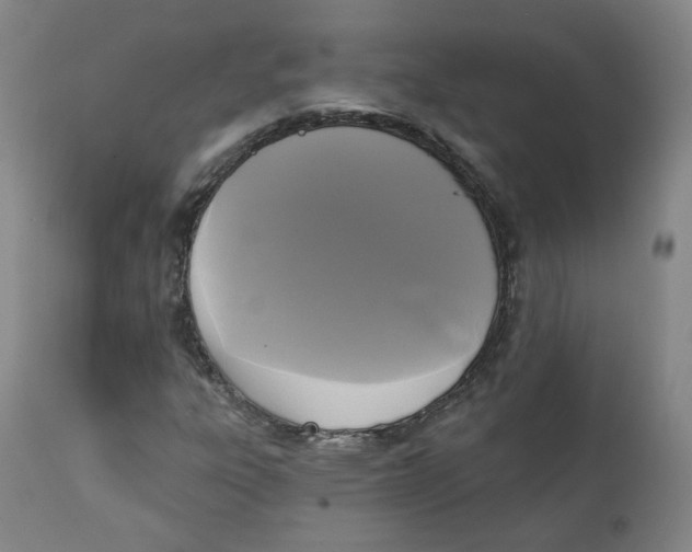 X0000111221303200907231431