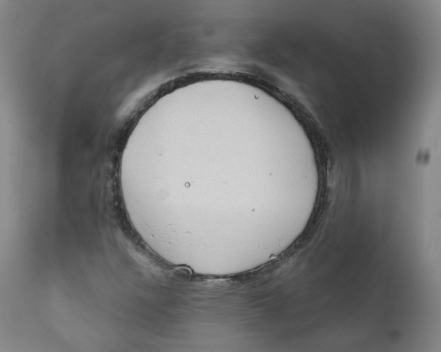 X0000111221304200907231431