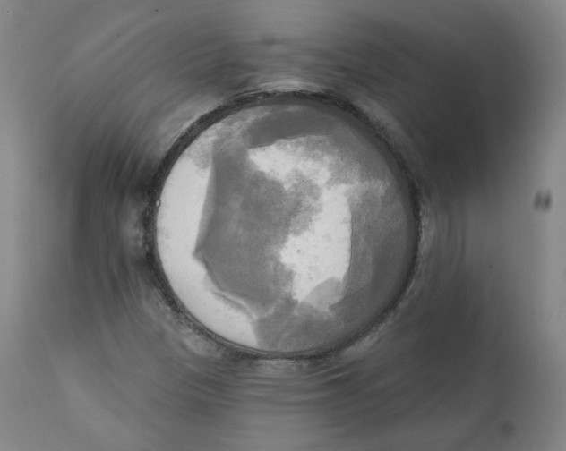 X0000111221305200907231431