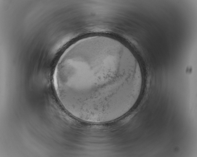 X0000111221306200907231431