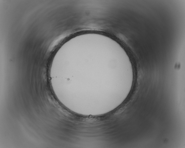 X0000111221307200907231431