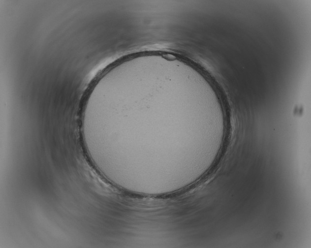 X0000111221308200907231431