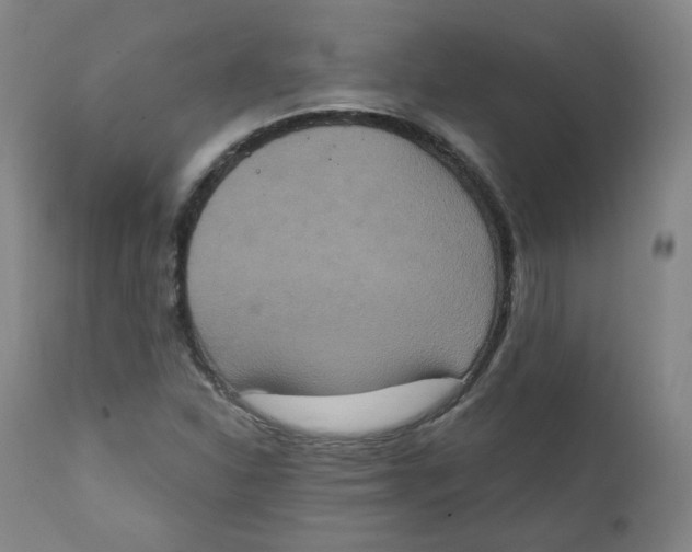 X0000111221310200907231431