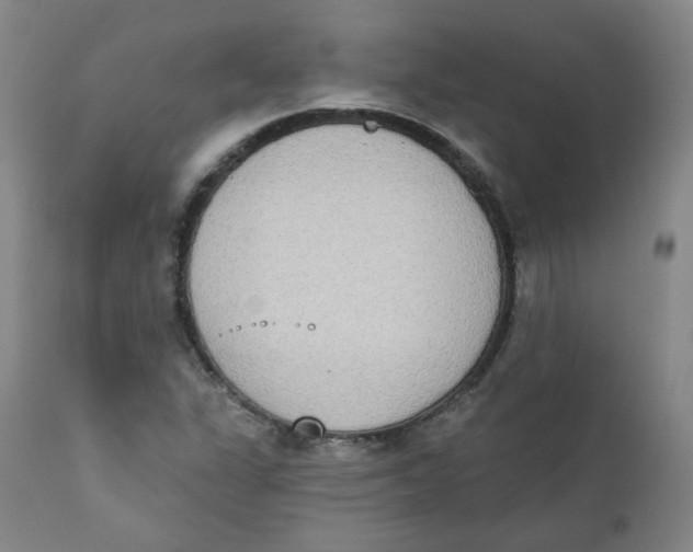 X0000111221311200907231431