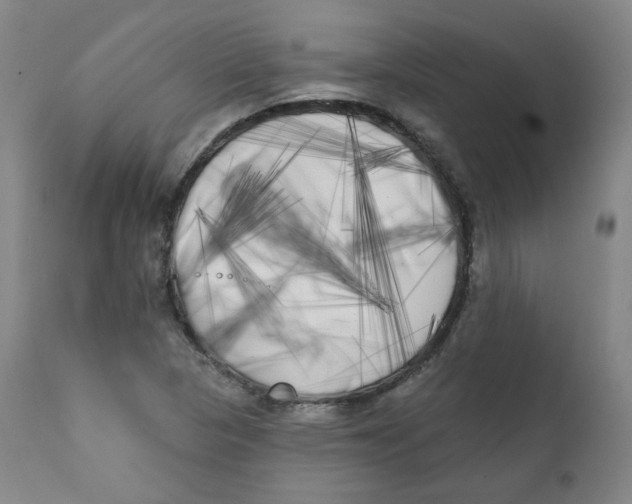 X0000111221313200907231431