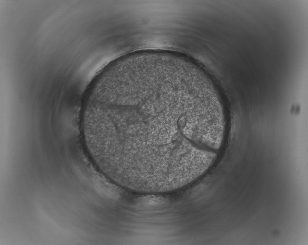 X0000111221314200907231431