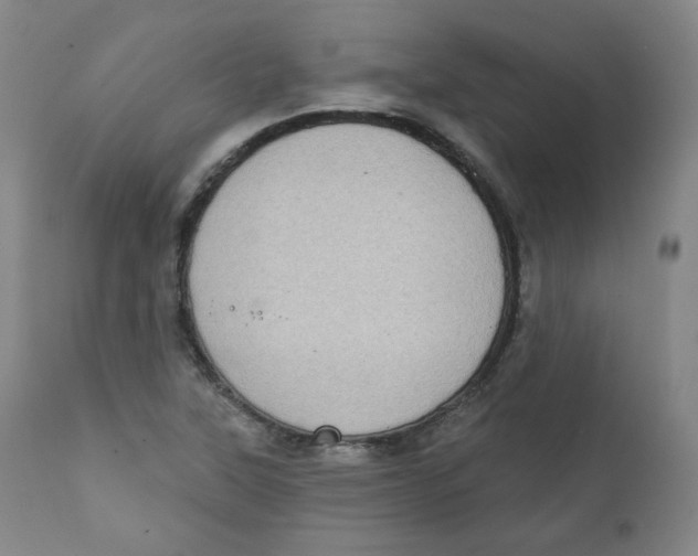 X0000111221315200907231431